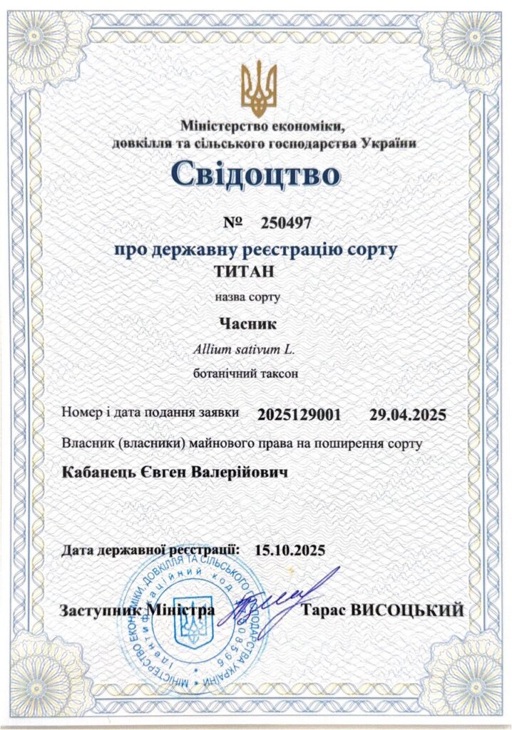 Свидетельство о регистрации сорта «Титан»